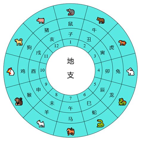 天干地支時間|天干地支對照簡表